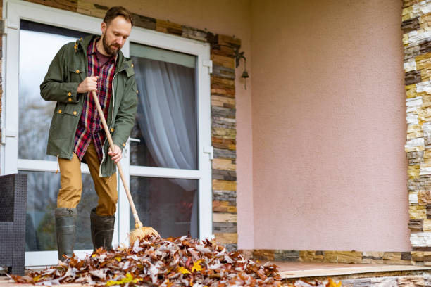 Best Electronics Removal Services  in Colfax, IL